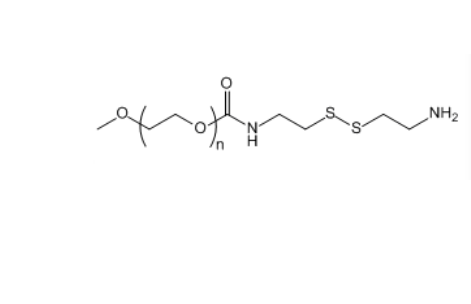 mPEG-SS-NH2 mPEG-SS-Amine 甲氧基聚乙二醇-双硫键-氨基