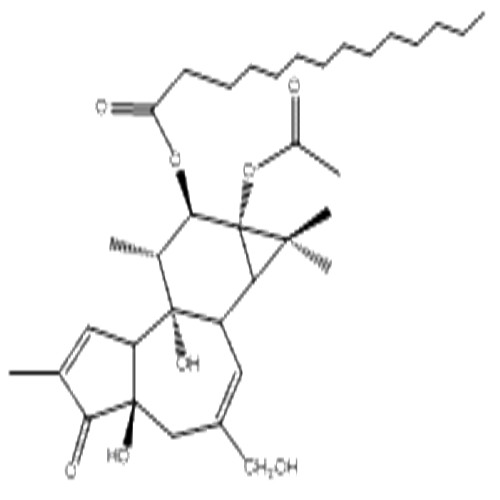 伏波酯-12-十四烷酸酯-13-乙酸酯