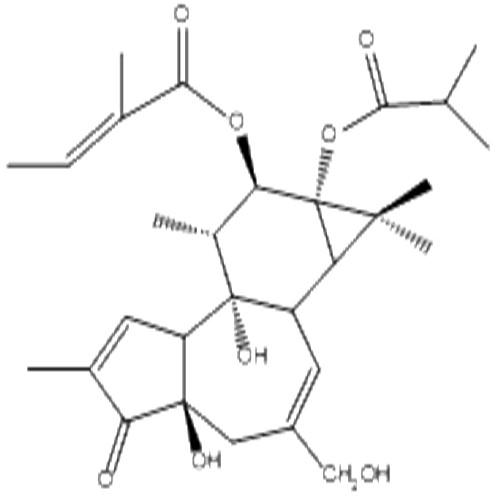 伏波酯-12-惕各酸酯-13-异丁酸酯.jpg