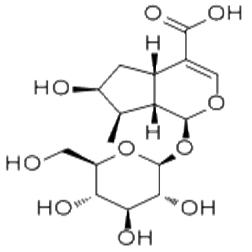 马钱苷酸