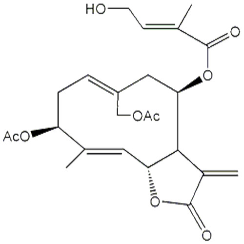 野马追内酯B