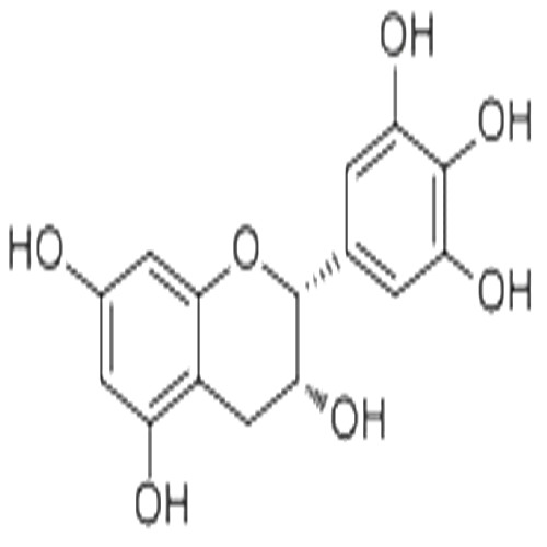 表没食子儿茶素