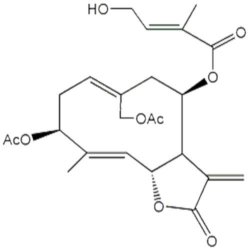 野马追内酯B.jpg