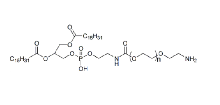 DPPE-PEG-NH2 二棕榈酰磷酯酰乙醇胺-聚乙二醇-氨基