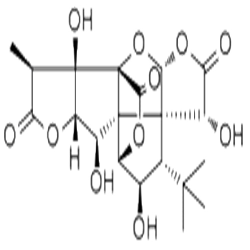 银杏内酯C