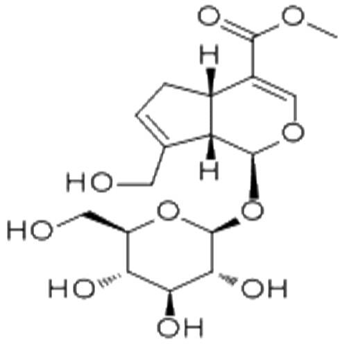 栀子苷.jpg