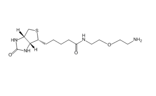 Biotin-PEG-NH2 811442-85-0 生物素-乙二醇-氨基