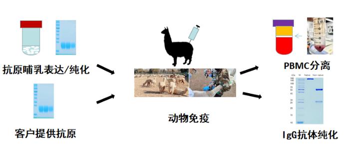 企业微信截图_1670893866957.png