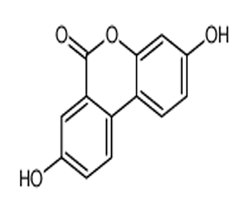 现货尿石素A