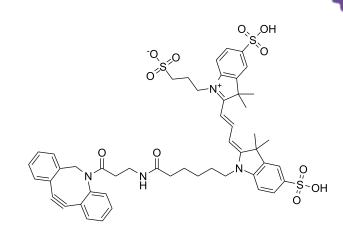 DBCO-Cyanine3