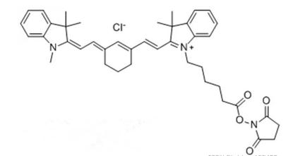 Cyanine7 MAL