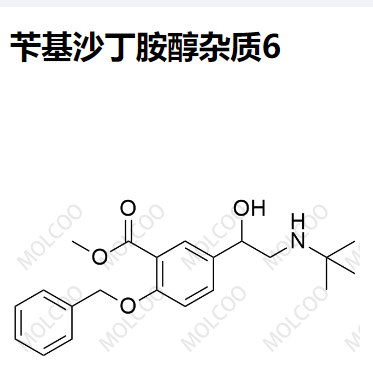 苄基沙丁胺醇杂质6 现货