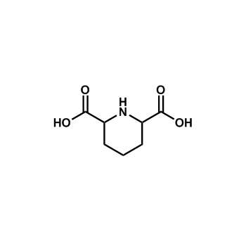 哌啶-2,6-二羧酸