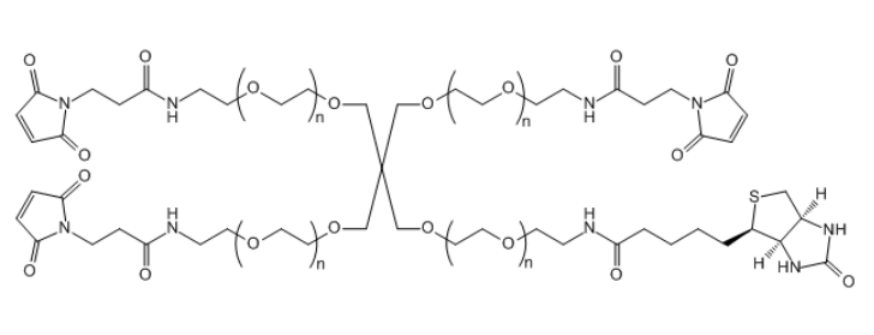 4-ArmPEG-(3Mal-1Biotin) 四臂聚乙二醇-马来酰亚胺-生物素