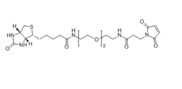 Biotin-PEG2-NH-Mal 305372-39-8