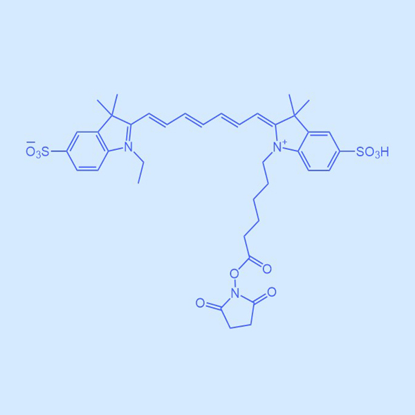 sulfo-cyanine7,胺活性琥珀酰亚胺酯,477908-53-5