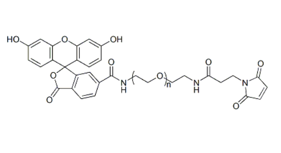 FITC-PEG-Mal 荧光素-聚乙二醇-马来酰亚胺
