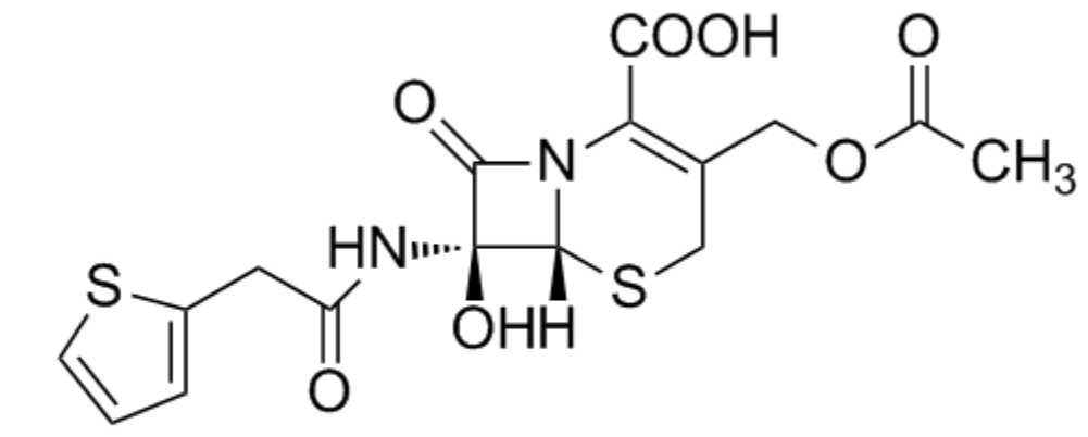 7-羟基头孢噻吩库存