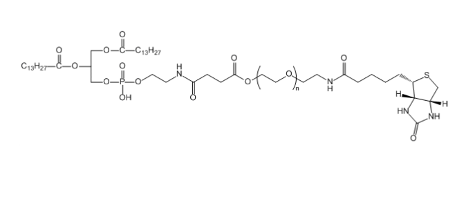 DMPE-PEG-Biotin DMPE-聚乙二醇-生物素