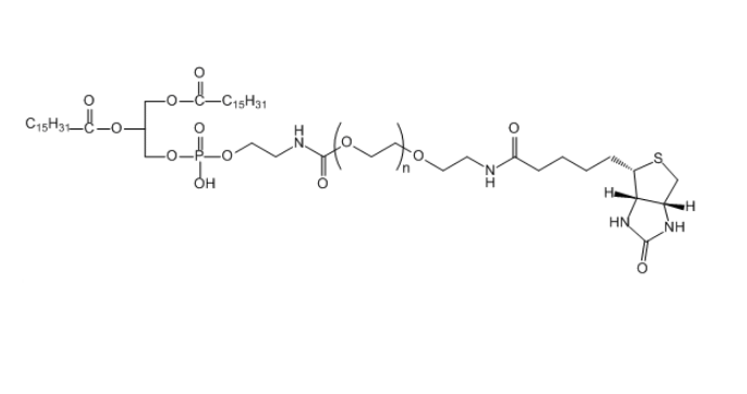 DPPE-PEG-BIOTIN 二棕榈酰磷酯酰乙醇胺-聚乙二醇-生物素