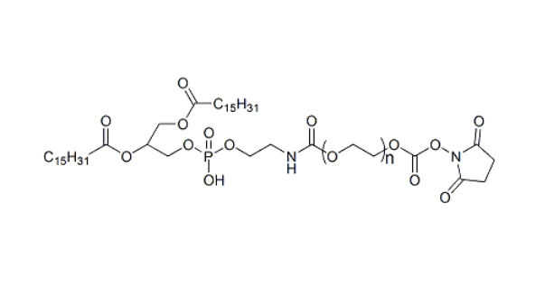 DPPE-PEG-SC 二棕榈酰磷酯酰乙醇胺-聚乙二醇-活性酯