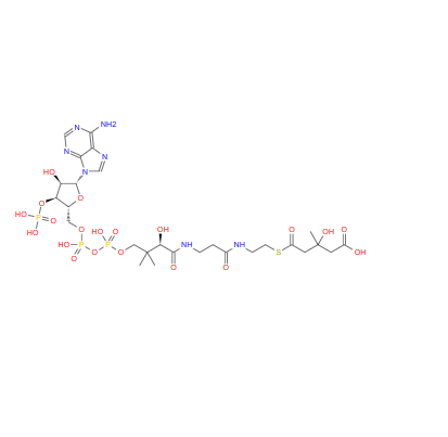 S-(氢3-羟基-3-甲基戊二酰基)辅酶A；1553-55-5