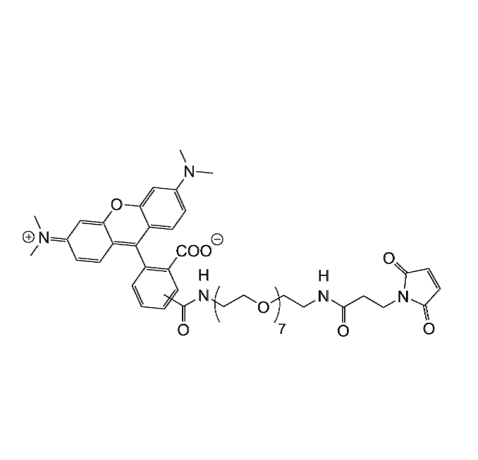 TAMRA-PEG7-Maleimide SC-8705 / SiChem