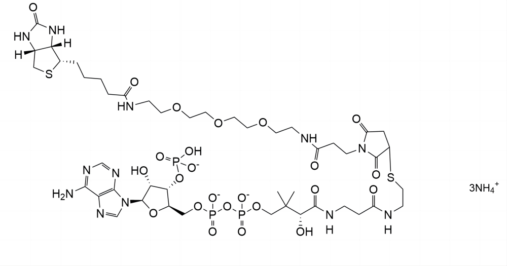 Biotin-PEG3-CoenzymeA SC-8618 / SiChem