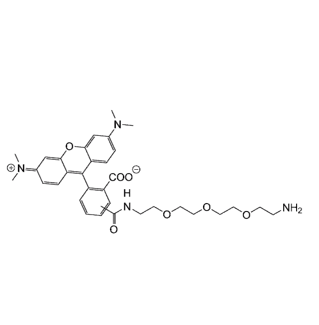 TAMRA-PEG3-NH2 SC-8701 / SiChem