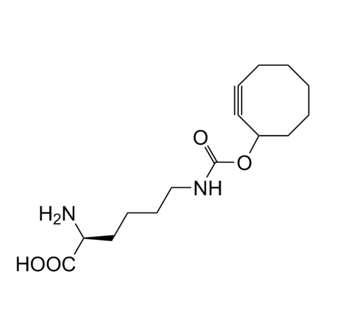 SCO - L - Lysine - HCO2H-salt 95%, SC-8000