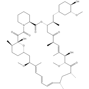 雷帕霉素;依维莫司 EPA