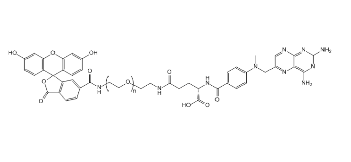 FITC-PEG-MTX 荧光素-聚乙二醇-甲氨蝶呤
