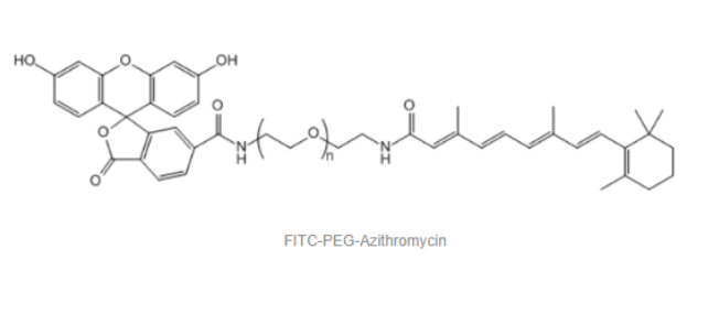 FITC-PEG-Azithromycin 荧光素-聚乙二醇-阿奇霉素
