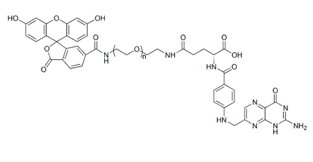FITC-PEG-FA 荧光素-聚乙二醇-叶酸