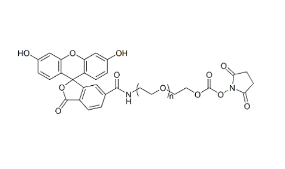 FITC-PEG-SC 荧光素-聚乙二醇-琥珀酰亚胺碳酸酯