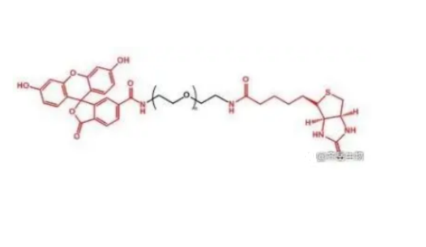 FITC-PEG-Biotin 荧光素-聚乙二醇-生物素