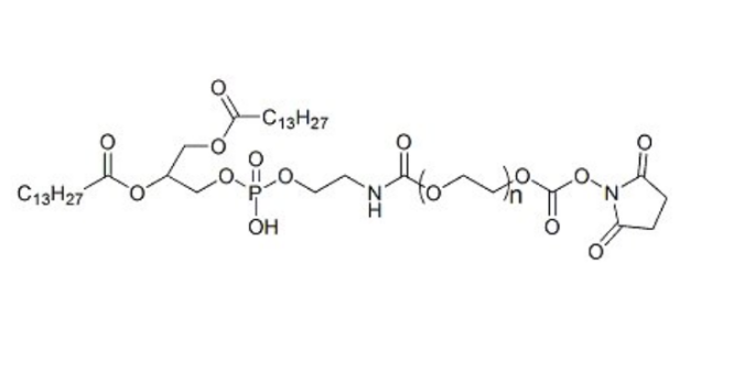 DMPE-PEG-SC 1,2-十四酰基磷脂酰乙醇胺-聚乙二醇-活性酯