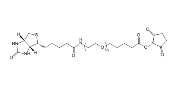 Biotin-PEG-SVA 生物素-聚乙二醇-琥珀酰亚胺戊酸酯