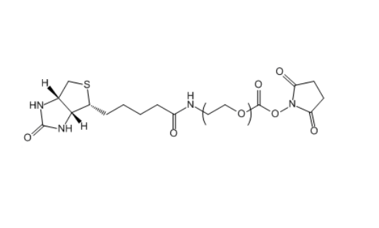 Biotin-PEG-NHS 生物素-聚乙二醇-活性酯