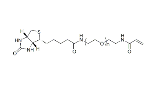Biotin-PEG-ACA 生物素-聚乙二醇-丙烯酰胺