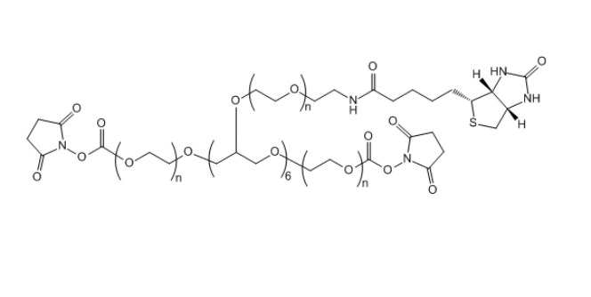 8-ArmPEG-(2ARM-NHS,6ARM-Biotin)