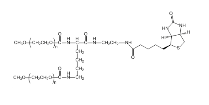 2-ArmPEG-Biotin 二臂/支 PEG 生物素