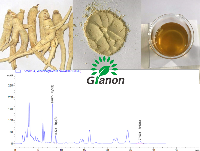 人参皂苷 Rg3 5-90%HPLC