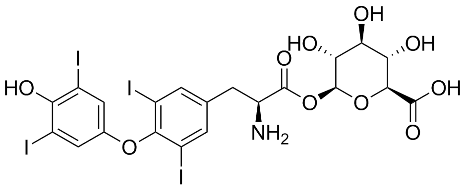 甲状腺素酰基-β-D-葡萄糖醛酸