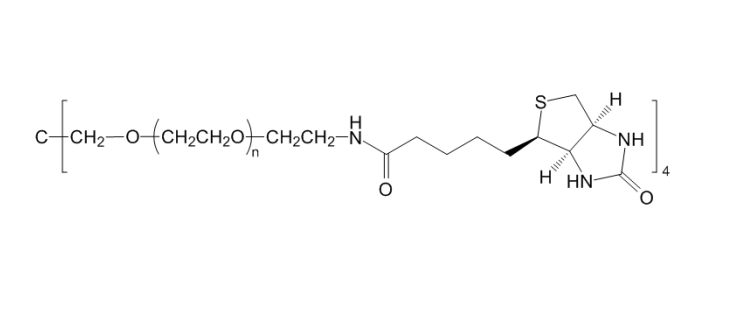 4-ArmPEG-Biotin 四臂聚乙二醇生物素