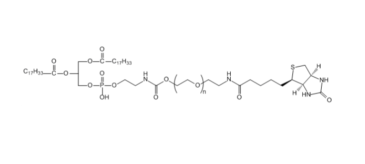 Biotin--PEG-DMPE DMPE-聚乙二醇-生物素