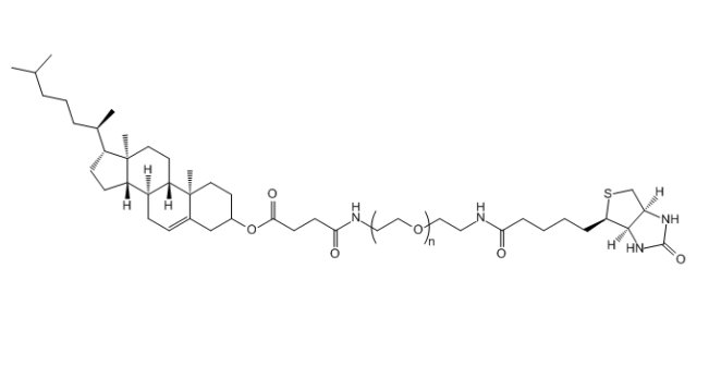 CLS-PEG-Biotin 胆固醇-聚乙二醇-生物素 Cholesterol-PEG-Biotin