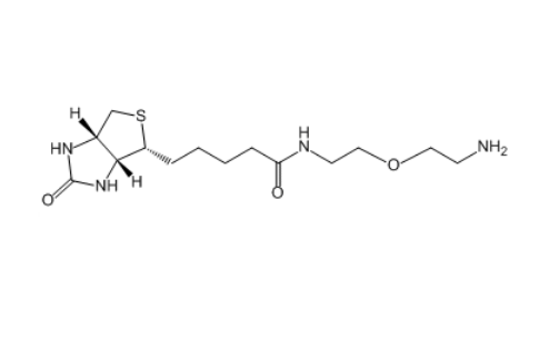 Biotin-PEG1-NH2 811442-85-0 生物素-乙二醇-氨基