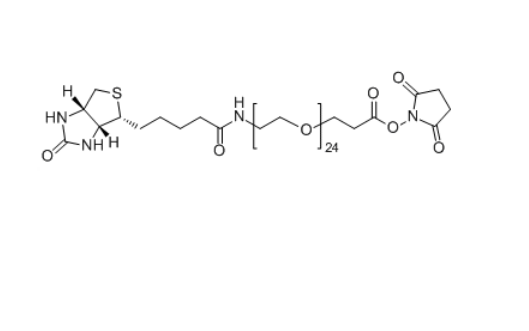 Biotin-PEG24-SPA 365441-71-0 Biotin-PEG24-NHS