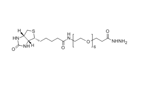 Biotin-PEG6-HZ 生物素-聚乙二醇-酰肼